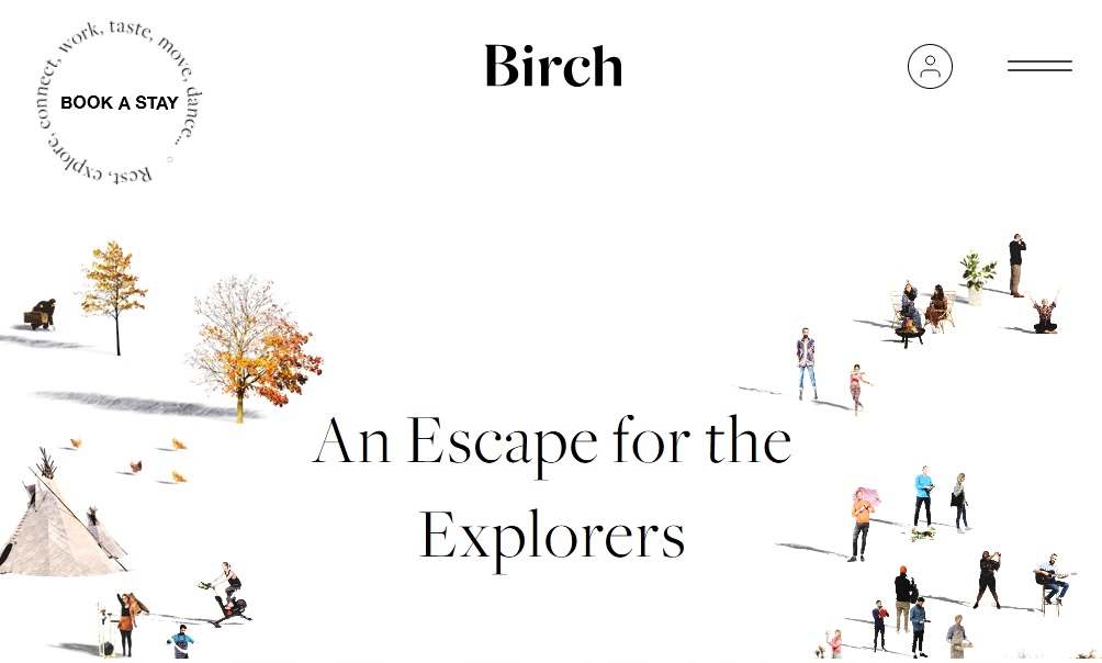 Birch - Clean Website Example