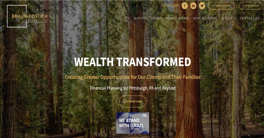 Braun - Advisor Website Design