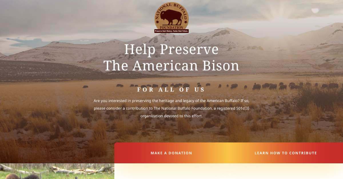 National Buffalo Non Profit Website Example
