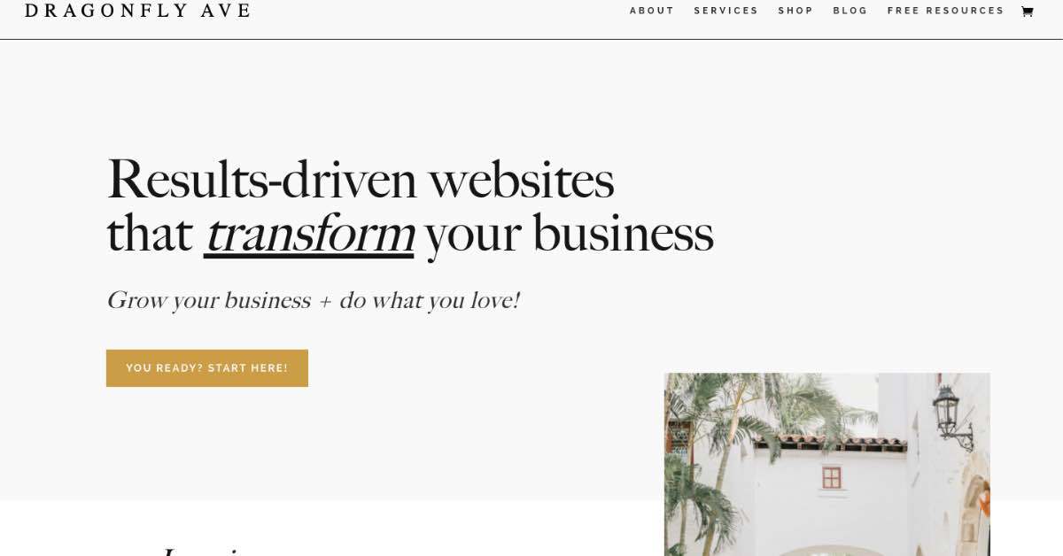 Dragonfly Wave Webdesign Website Example