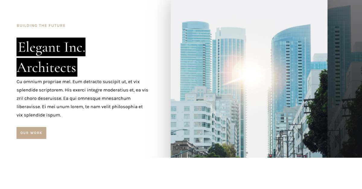 Elegant Inc Architect Website Example.png