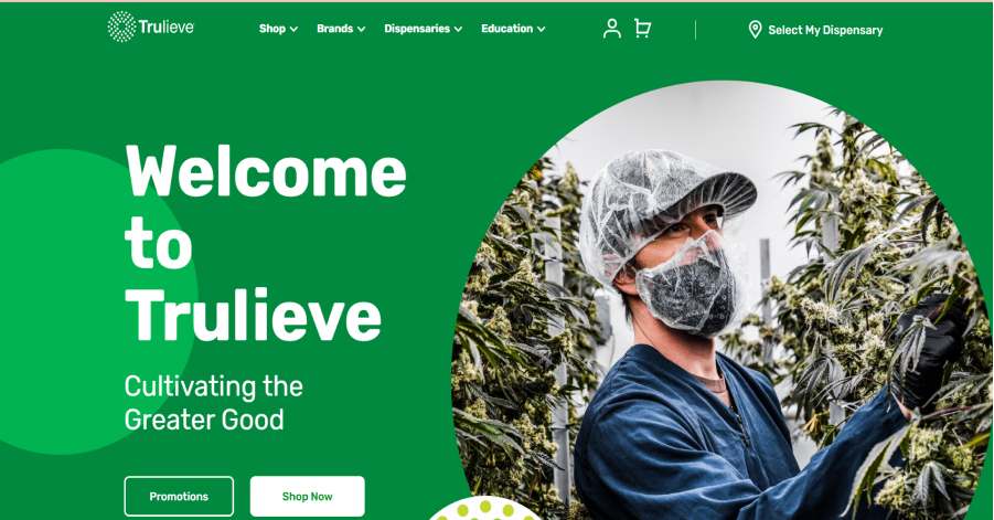 Cannabis Web Design - Truelieve