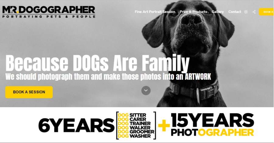 Mr. Dogographer - Yellow Website Examples