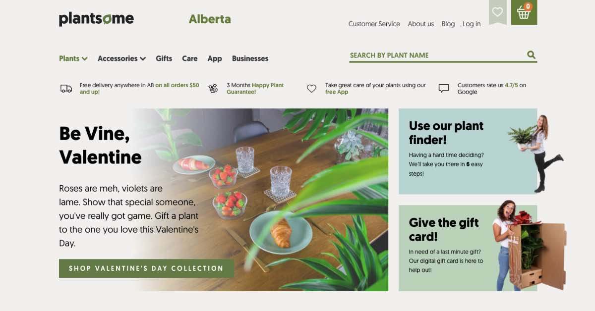 Plantsome Flower Website Example