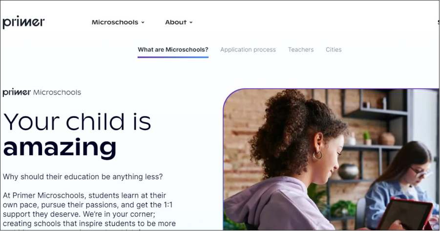 Primer - High-Converting Website Examples